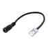 Conector Transparente con cable DC 15cm para tiras LED COB + SMD - 8mm